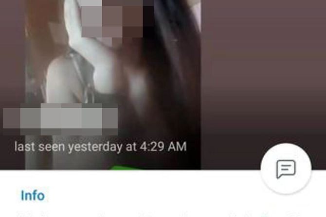 Grupa Perverzije Balkana, Telegram