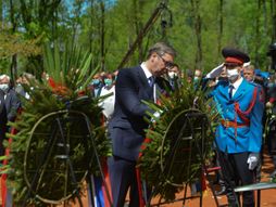 Aleksandar Vučić, Donja Gradina Jasenovac