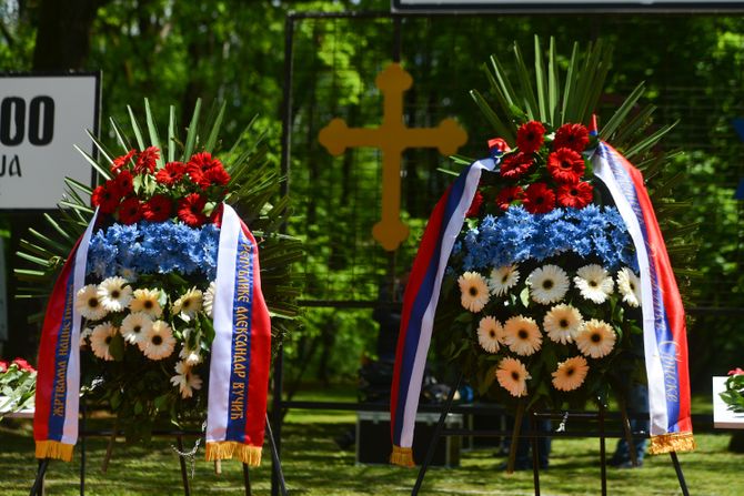 Aleksandar Vučić, Donja Gradina Jasenovac