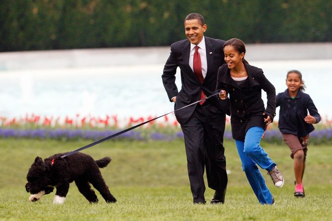 Barak Obama, pas Bo Barak Obama, pas Bo