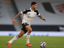 FK Fulam, Aleksandar Mitrović