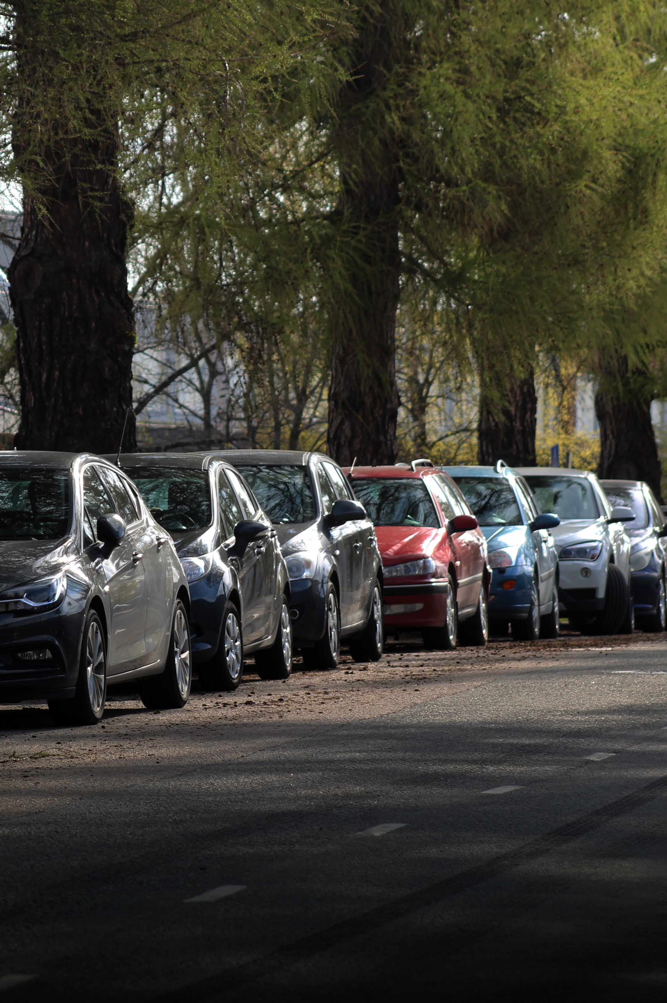 Ovo su dani u kojima se parking u Beogradu neće plaćati i kontrolisati: "Praznična idila" važi za ove zone