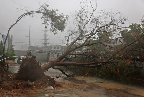 Ciklon Indija, nastradali, nevreme