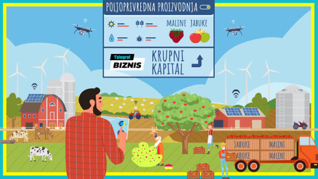 Poljoprivredna proizvodnja u Srbiji, maline, jabuke, Biznis