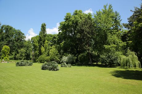 Botanička bašta, Jevremovac