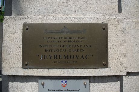 Botanička bašta, Jevremovac