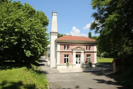 Botanička bašta, Jevremovac