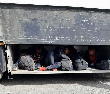 Migranti, kamion, prikolica