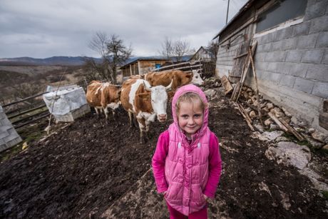 Porodica Mijović, Tutin Porodica Mijović, Tutin