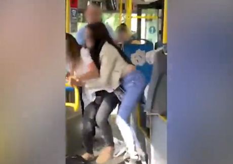 Tuča u autobusu, Čukarica, linija 23