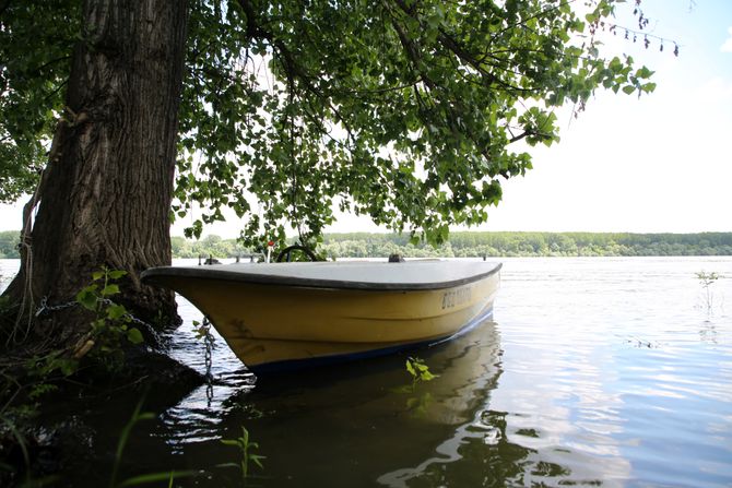 Grocka, Proleće na Dunavu