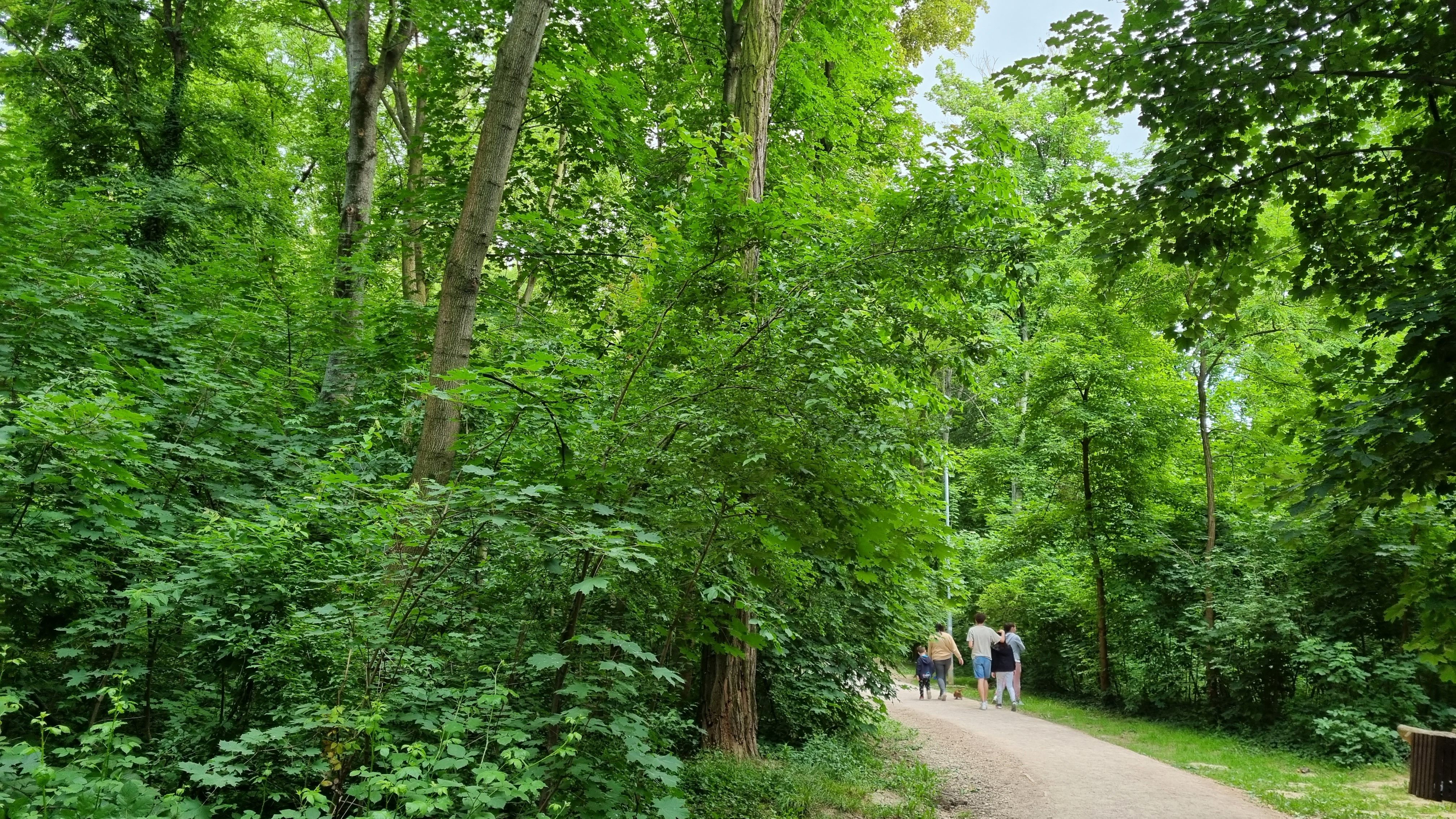 Hrvati BESNI! Stranci masovno dolaze i ČUPAJU skupu namirnicu iz zemlje: Zarađuju, a uništavaju sve
