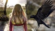 Crows are attacking: Expert tells Telegraf how to protect ourselves, and what we should never do