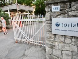 Torlak, vakcine, Sputnjik V