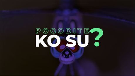 Pogodite ko su - vilini konjici