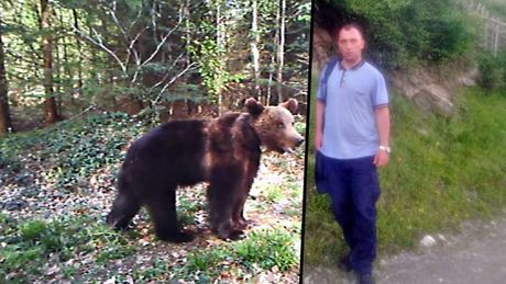 Poštar, Dalibor Pantović, napao ga medved planina Golija u blizini Ivanjice. Poštar, Dalibor Pantović, napao ga medved planina Golija u blizini Ivanjice.
