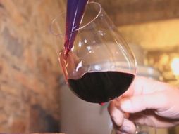 Topola, promocija vina u Šumadiji, Udruženje vinara Šumadije je  2014. godine organizovalo 1. Festival Šumadijskih vina.