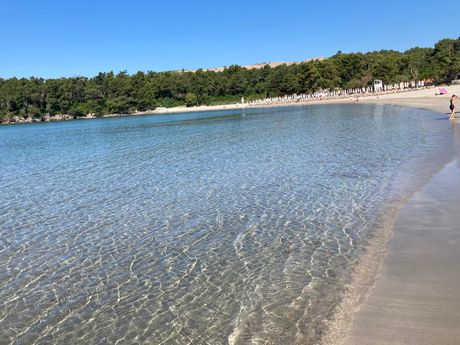 plaža Plavi horizonti; foto Biljana Stanojević/Telegraf.rs plaža Plavi horizonti; foto Biljana Stanojević/Telegraf.rs