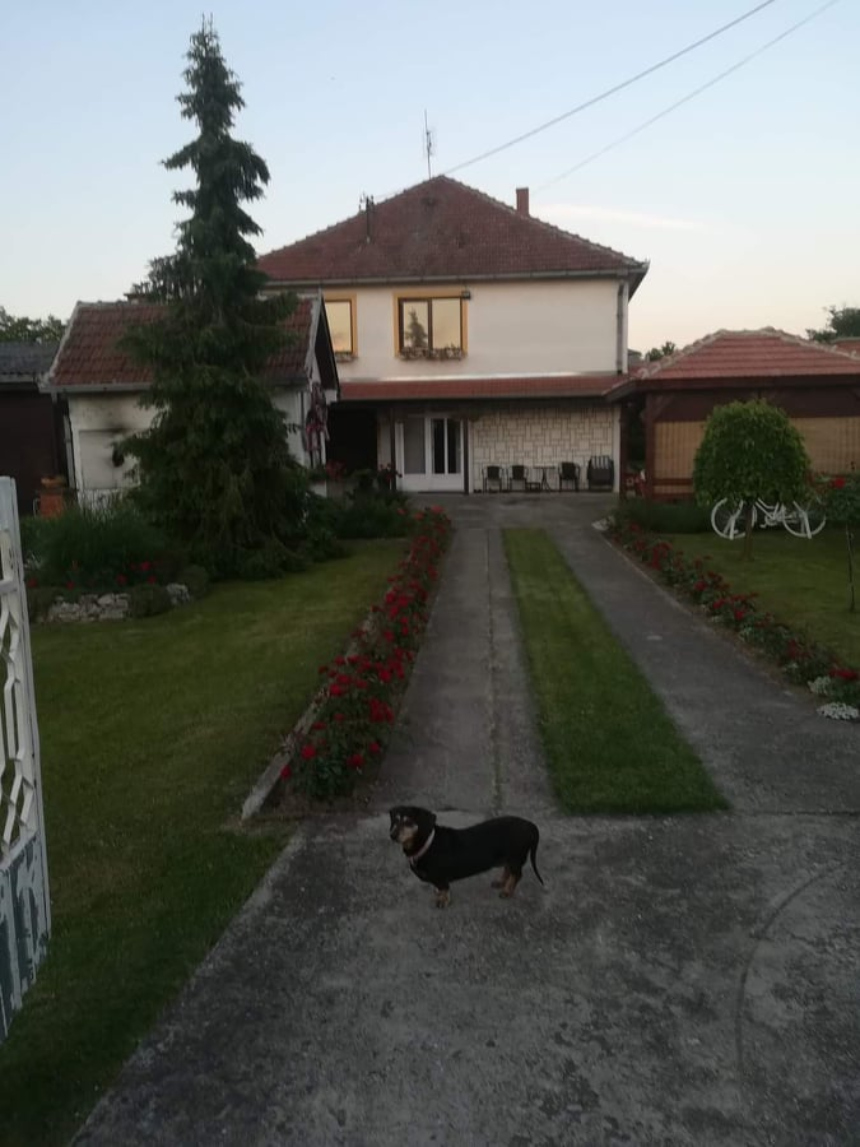 Serijski lopovi haraju u Stepojevcu? Na isti način pokradene kuće ...
