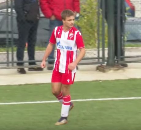 Nikola Knezevic, FK Crvena zvezda
