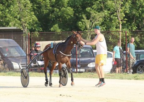 Nikola Jokić Sombor trke konja