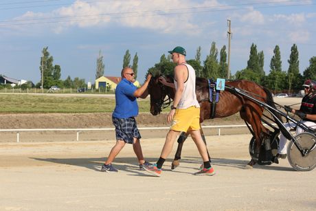 Nikola Jokić Sombor trke konja
