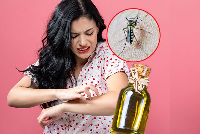 etericno ulje protiv ujeda komaraca etericno ulje protiv ujeda komaraca