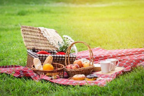 piknik, izlet, odmor, priroda, hrana, korpa za hranu