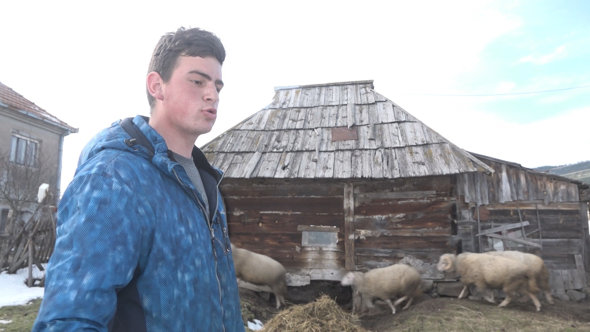 Tužan dan za najpoznatijeg srpskog seljaka: Objavio jednu sliku, njegove reči kidaju dušu