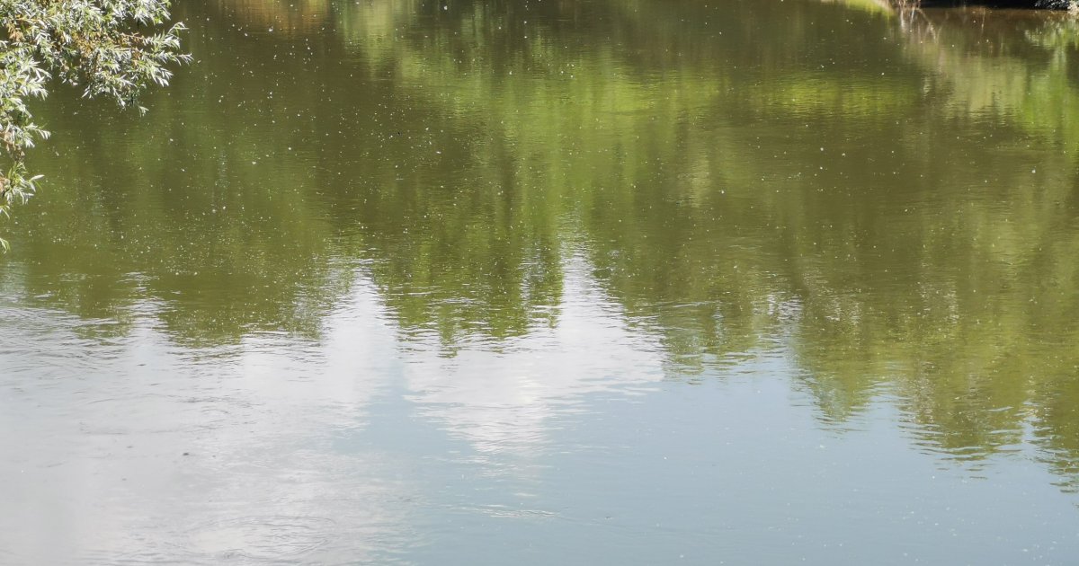 Vanredna Odbrana Od Poplava I Na Zapadnoj Moravi U čačku Telegraf Rs
