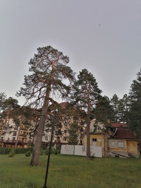 hotel buket zlatibor hotel buket zlatibor