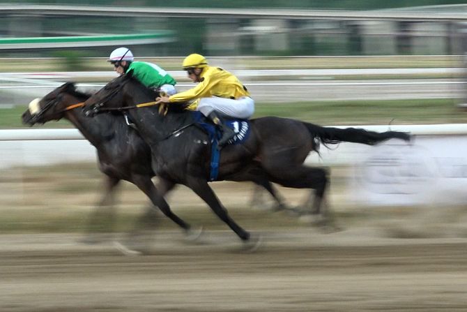 99. srpski galopski derbi