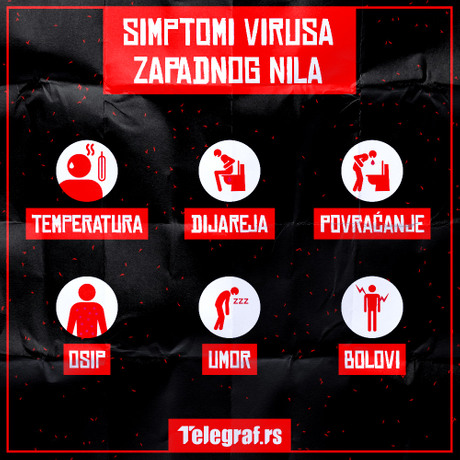 Virus Zapadnog Nila, komarci, simptomi POSTER