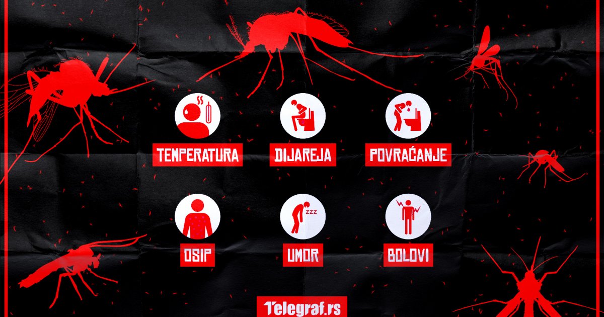 Kako da ubod komarca i koje sve tropske bolesti prenose Neke