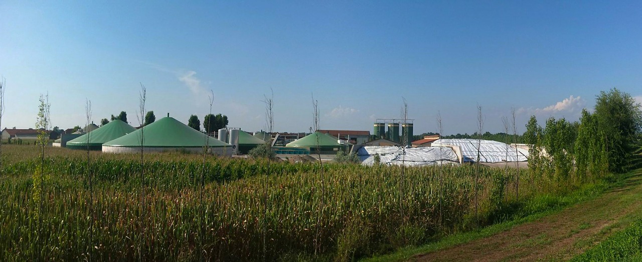 Srbija baca energetsko blago? Najveća energetska rezerva nije pod zemljom, već na farmama širom Srbije