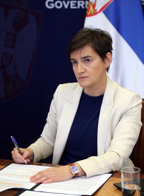 Ana Brnabić, Portret Ana Brnabić, Portret