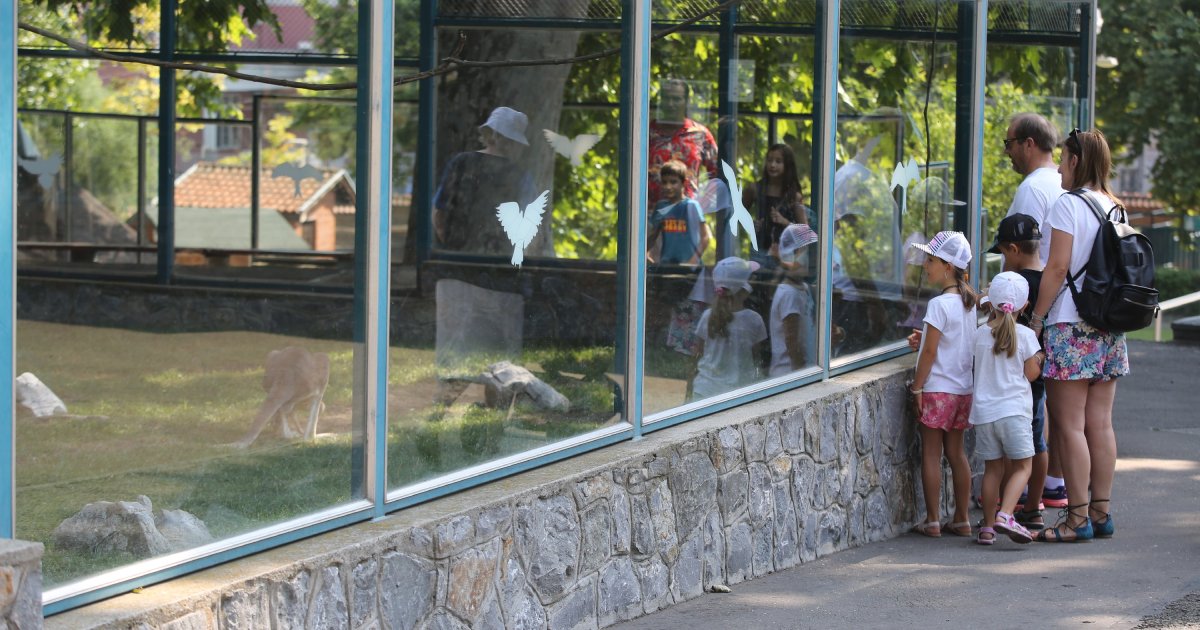 Na veliki petak radnike beogradskog zoološkog vrta dočekalo iznenađenje: Ovom prizoru se nisu nadali