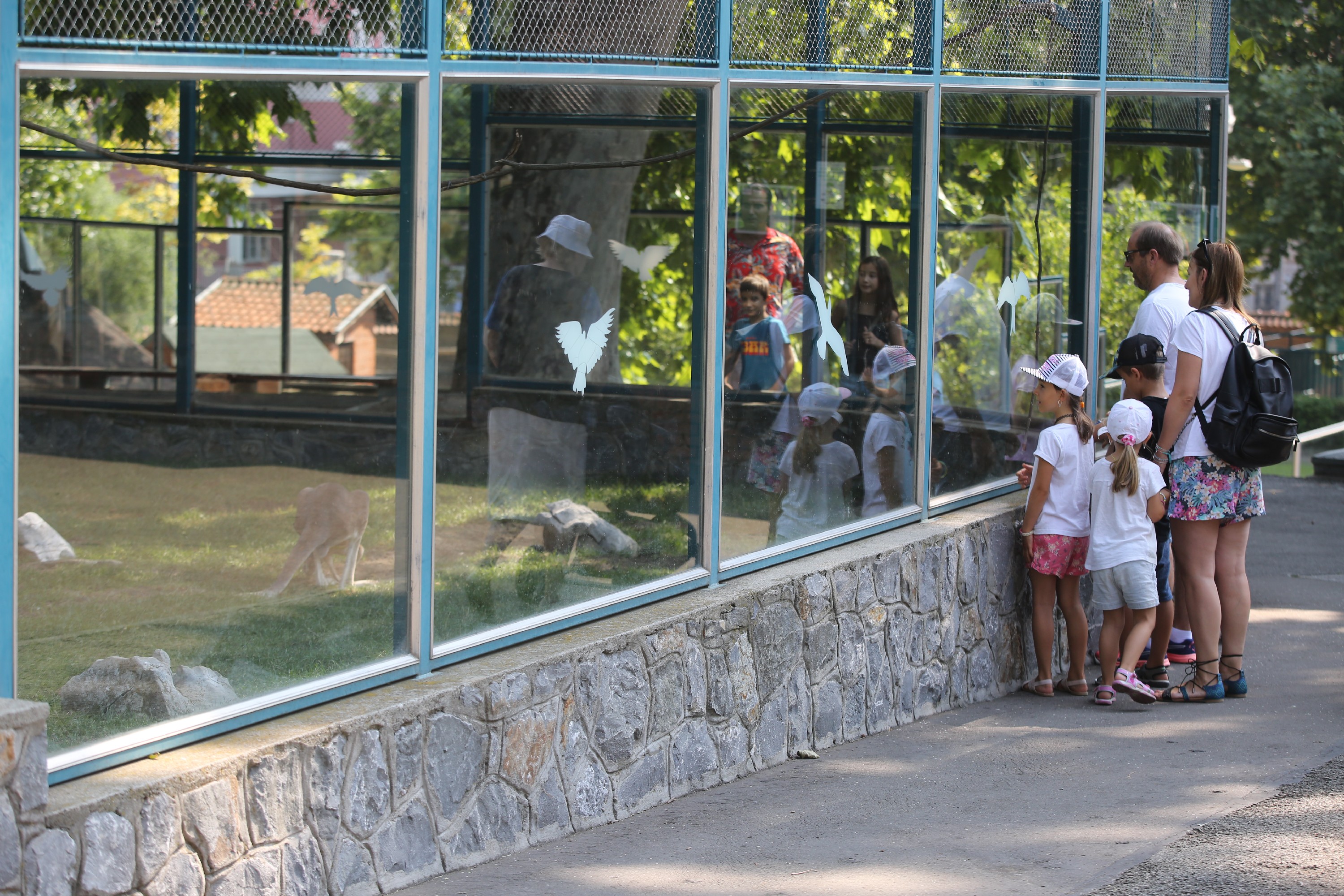 Na veliki petak radnike beogradskog zoološkog vrta dočekalo iznenađenje: Ovom prizoru se nisu nadali