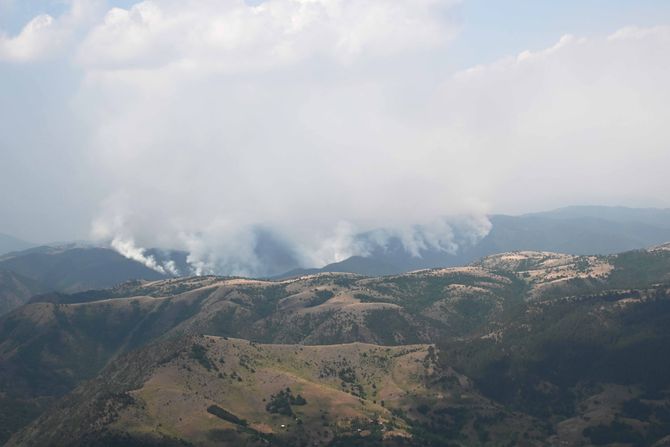Požar, vatrogasci, šuma