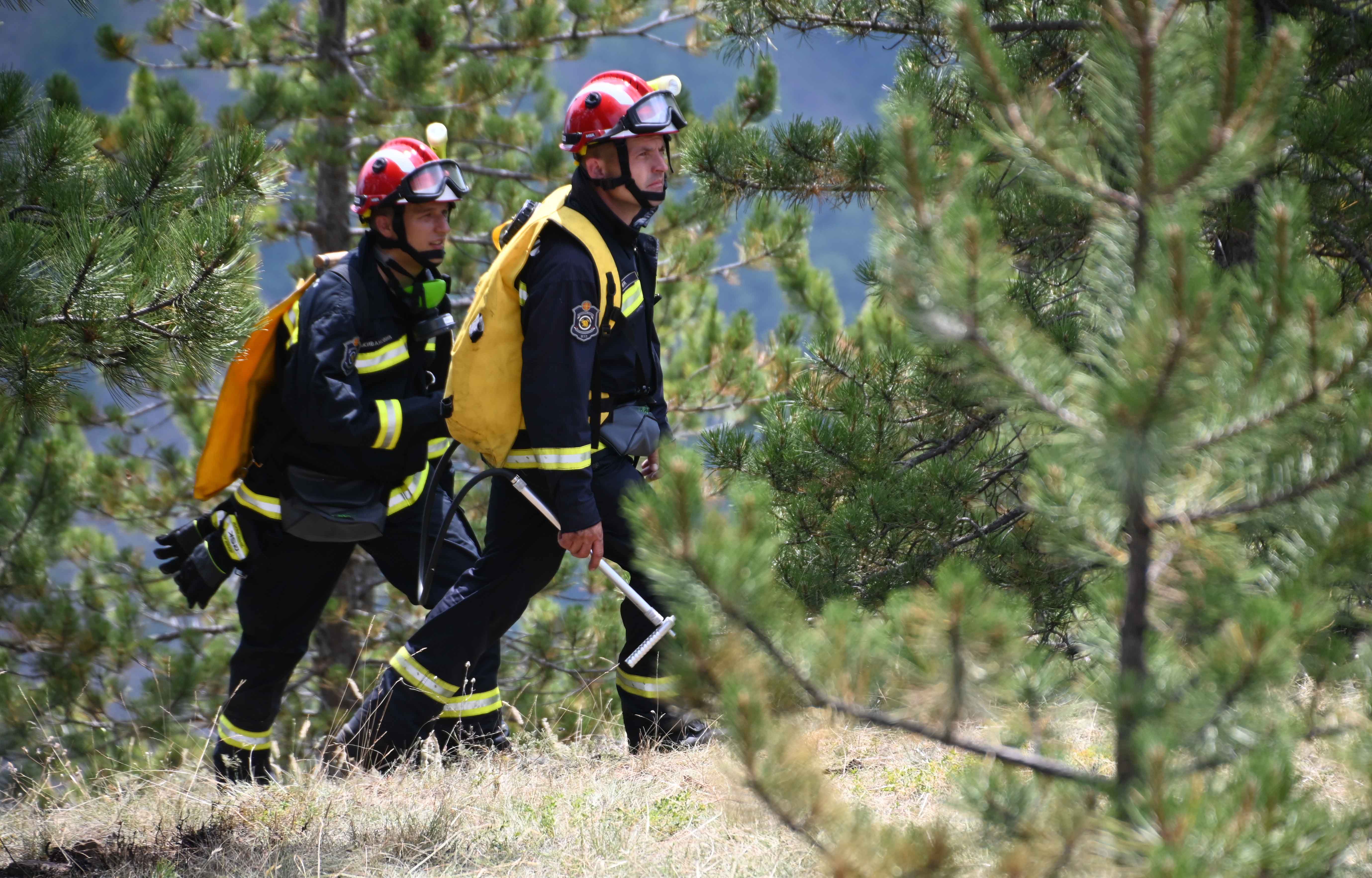 Alarmantno na Staroj planini: Poznati park prirode u plamenu, sve nadležne službe HITNO REAGOVALE