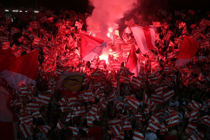 Crvena Zvezda - Vojvodina, Navijači