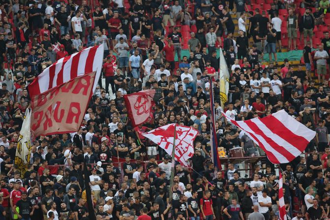 Crvena Zvezda - Vojvodina, Navijači