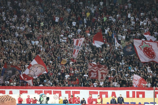 Crvena Zvezda - Vojvodina, Navijači