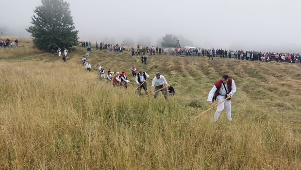 kosači, kosidba, takmičenje, planina Rajac