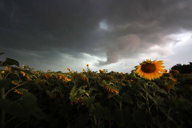 Sombor nevreme kiša oblačno Sombor nevreme kiša oblačno
