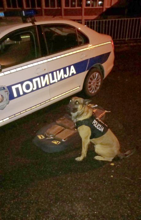 Raška, kokain, zaplena Raška, kokain, zaplena