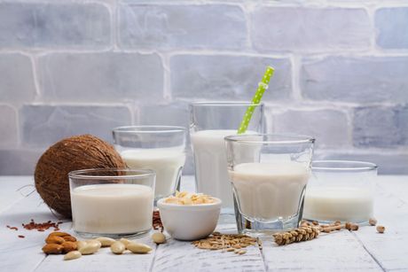 Alternativna mleka vegan kokosovo mleko