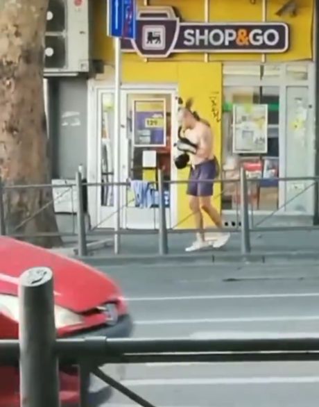 bokser, slavija bokser, slavija