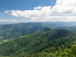 foto RINA/Ranko Milanović