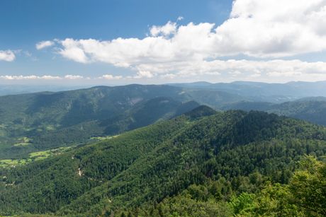 foto RINA/Ranko Milanović